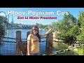 Hloov pojniam ces zoo li hloov president05052024