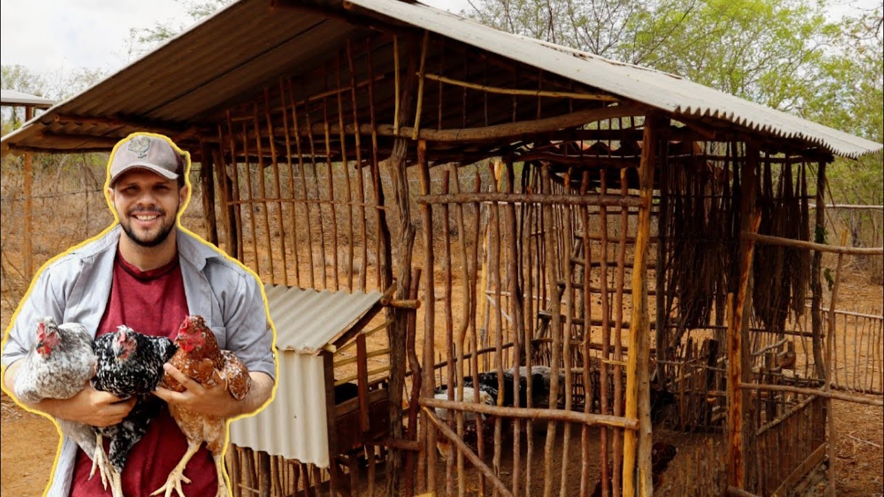 Reforma do Galinheiro Econômico: Transformação Sustentável!