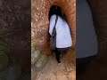 え、、これは、、