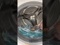 Ocean water in a LG AI front load washer!