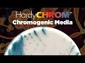 Hardychrom a complete offering of chromogenic media