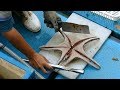 How to Cut up a Live Starfish for traditional Chinese soup