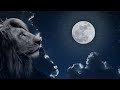 Full Moon In Leo - Intentional Living