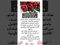 الرمان والسكري مفاجأة علمية لا تعرفه 