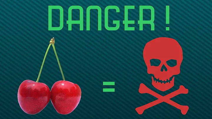 How Lethal Are Cherries ?