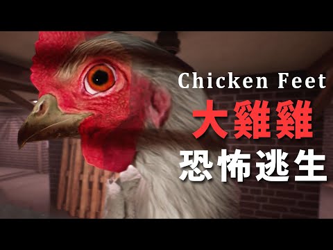 【阿津】大雞雞逃脫遊戲 "Chicken Feet" 在生化危雞的恐怖追殺中逃生，背後有個悲傷的故事