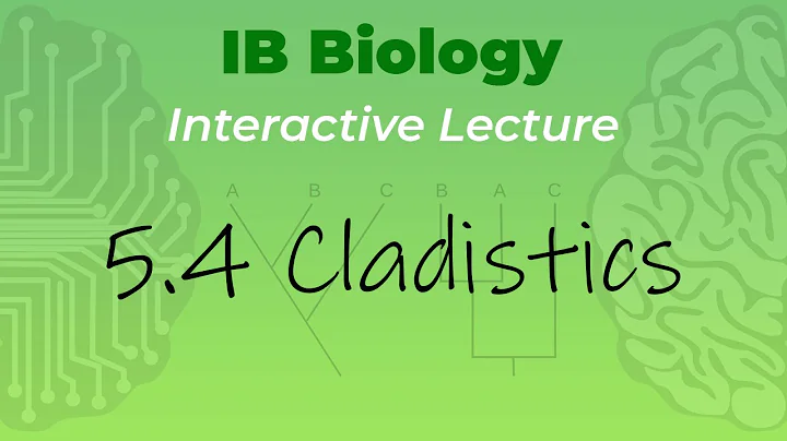 Mr. Leonard's IB Biology Video Course - 5.4 Cladistics (student handout in description)