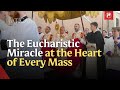 Eucharistic Devotion Among the Faithful | EWTN Vaticano