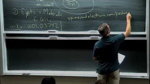 Spin liquids I -- L. Balents