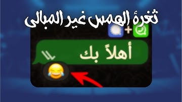 المخترق يقدر يتبعك ويعرف نشاطك على واتساب وسيجنال عبر إيصالات التسليم؟ تحليل علمي