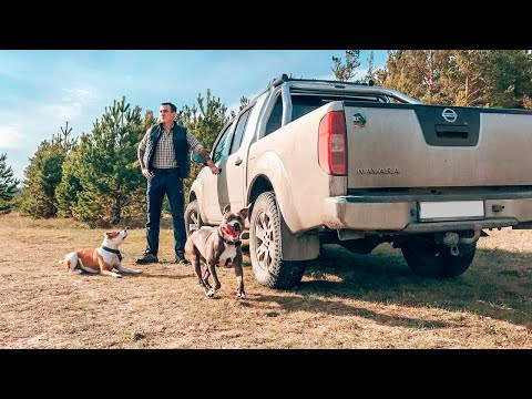 Отзыв реального владельца о Nissan Navara D40 / Ниссан Навара - Лучшая машина для деревни.