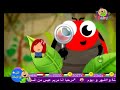 طيور بيبي انشودة الاعداد
