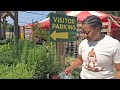 How to Choose the Best Plants for Your Fall Vegetable Garden