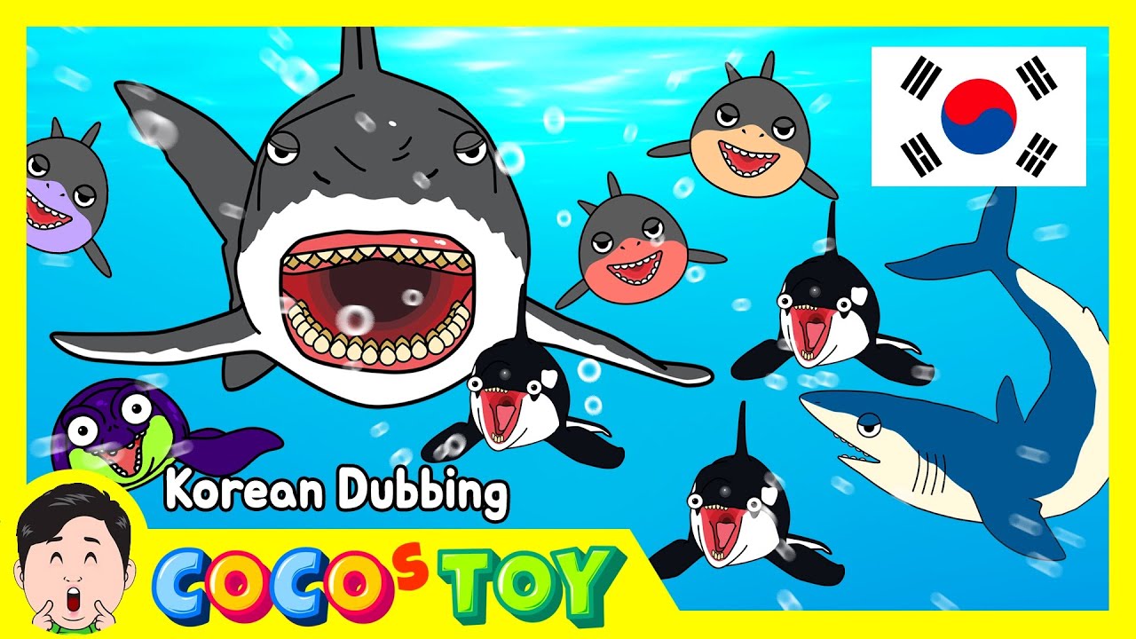 30분ㅣ한국어더빙ㅣ노력으로 더욱 성장하는 고래와 상어 이야기 모음ㅣ어린이 상어 만화, 상어 이야기ㅣ꼬꼬스토이