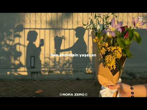 Halit bilgiç - özgürlük çiçeğimsin (sözleri)