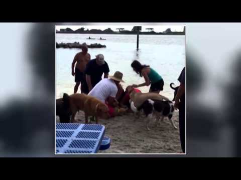 CPR saves drowning dog
