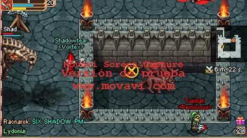 Druid uses bug for long but it is not enough