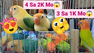 Vlog360 Aqua Price Upd8 Part 1 Dito Lang Po Malabon Pet Market