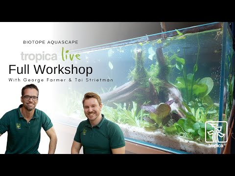 Biotope Aquascape | Rio Sucuri - Brazil | George Farmer & Tai Strietman