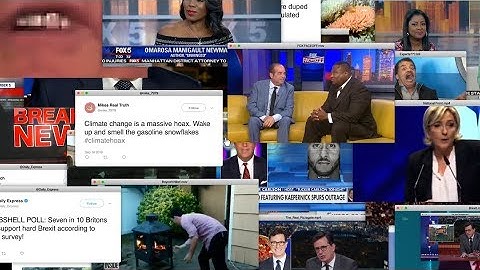 Misinfo Nation: Misinformation, Democracy, and the Internet