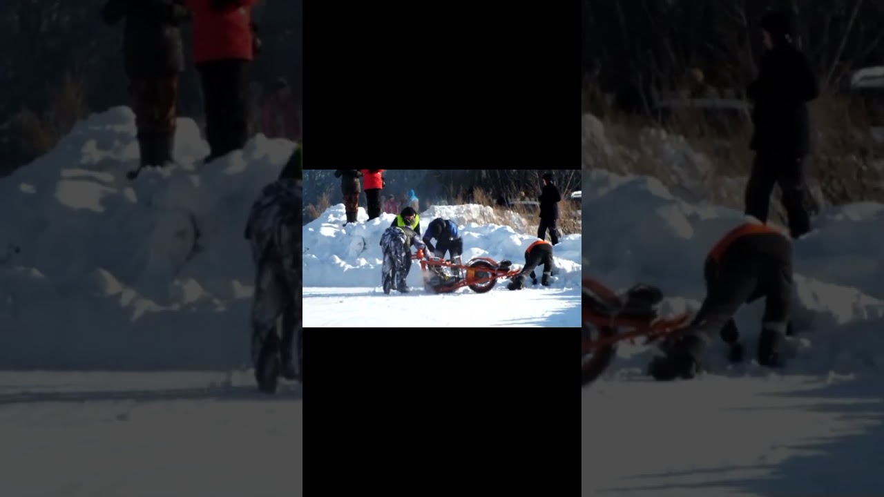 SNOW DOGS  заезд 