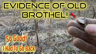 Hit with a Shocking Discovery! | Metal Detecting this old Long Island Field