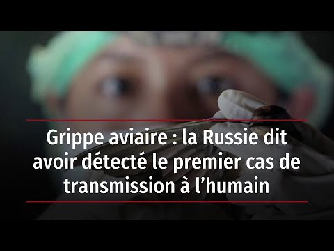 Vidéo: Grippe Aviaire - Devriez-vous En Avoir Peur?