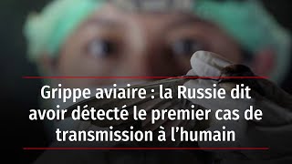 Grippe aviaire : la Russie dit avoir détecté le premier cas de transmission à l’humain