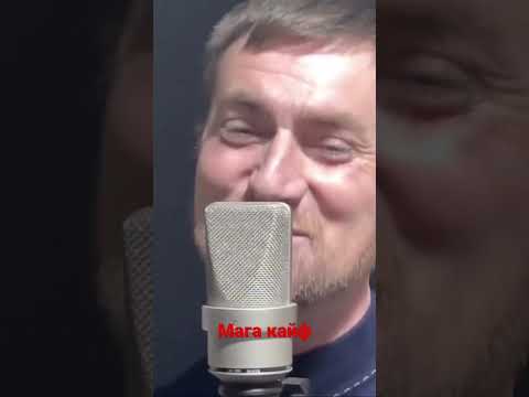 Мага кайф кайфовать хочу кайфовать, кайфуй родная пока молодая #shorts #singer #sing #music