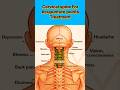 acupuncture points #cervicalpain#TherapistworldclubDoctor #Dr.opsingh_acupointsHajipur#youtubeshorts
