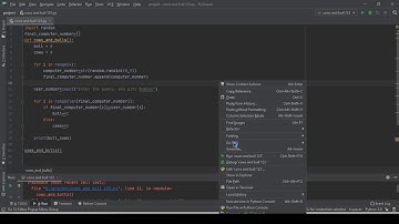 Watch the raw clip of me making "Cows and Bulls game" in Python.