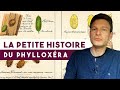 Du phylloxra aux aoc  la plus grande rvolution du vin leon n 53