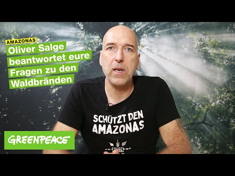 Video: Reduziert Holzeinschlag Waldbrände?