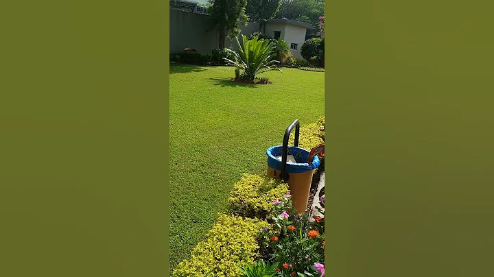 #green #greenery #scenery #trees #plants #leaf #leaves - DayDayNews