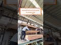 #户外工程板材 #plywood #chinamarineplywood #marineplywood #防水板材工厂 #海洋板 #ENF级防水板