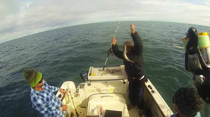 Port Victoria Whiting Fishing!