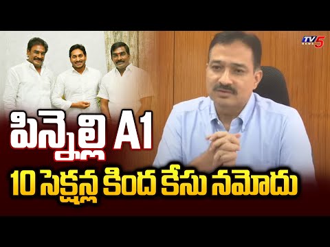 పిన్నెల్లి A1 : EC CEO Mukesh Kumar Meena About Pinnelli Ramakrishna Reddy | TV5 News - TV5NEWS