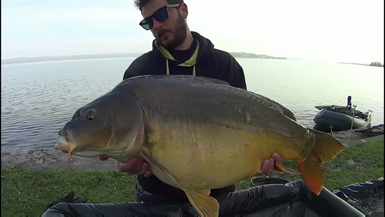 Pesca carpfishing lake Balaton IBCC 2018 - big mirror - YouTube