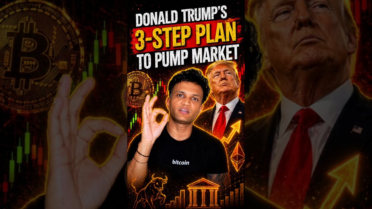 DONALD TRUMP'S 3-STEP PLAN