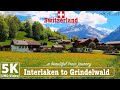 🇨🇭Interlaken - Grindelwald, Switzerland • A Breathtaking Train Journey • 5K 60fps UHD Video