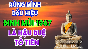 RÙNG MÌNH TUỔI ĐINH MÙI 1967 LÀ HẬU DUỆ TỔ TIÊN KHI CÓ DẤU HIỆU NÀY
