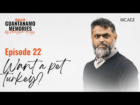 The wild pets of Guantanamo | Guantanamo Memories | Ep.22