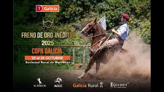 FRENO DE ORO INEDITOS | COPA GALICIA 2025