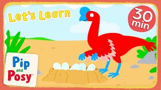 Dino Eggs  Lets Learn With Pip And Posy