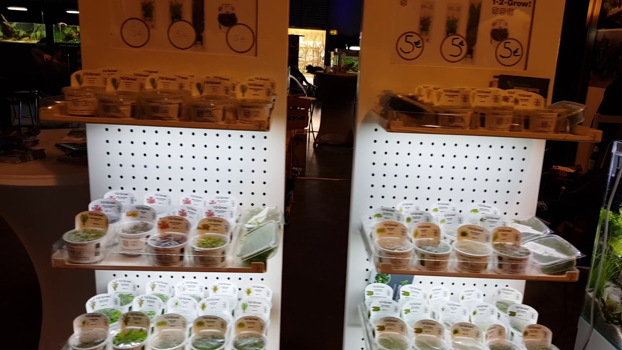 TAotPA влог: Атмосфера на конкурсе.