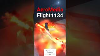 AeroMedia Flight 1134 - Crash Animation