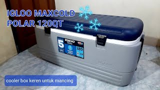 COOLER BOX BESAR IGLOO MAXCOLD POLAR 120QT DENGAN KAPASITAS 113L