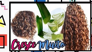 FAÇA SEU CABELO CRESCER SHAMPOO E MULTIFUNCIONAL CASEIRO DE BABOSA - NEYMARA LIMA