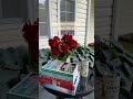 Outdoor reading nook ideas #book #books #readingnook #booktube