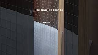 Ой забыл дз здать😶🌫#дз #учитель #сова #приколы